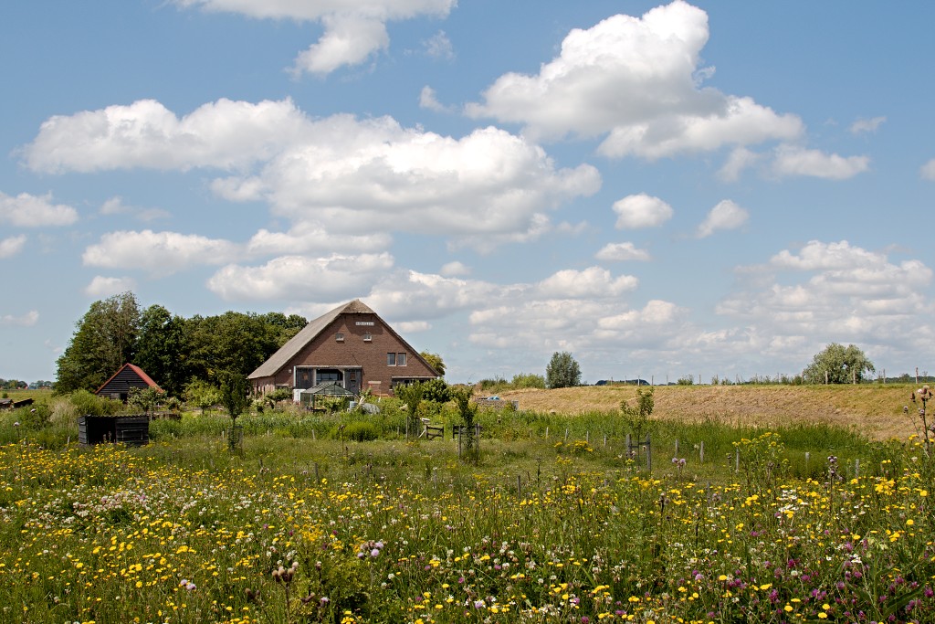tiengemeten natuur natuurgebied natuurmonumenten hdr schotse hooglanders rien poortvliet museum eiland polder platteland